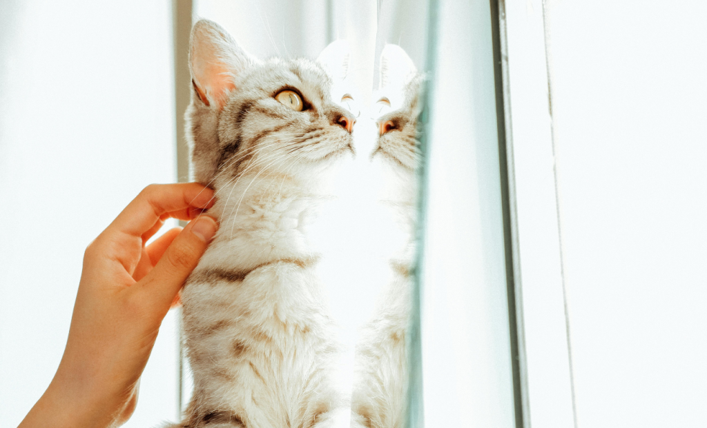 Touch Avoidance Develops Gradually